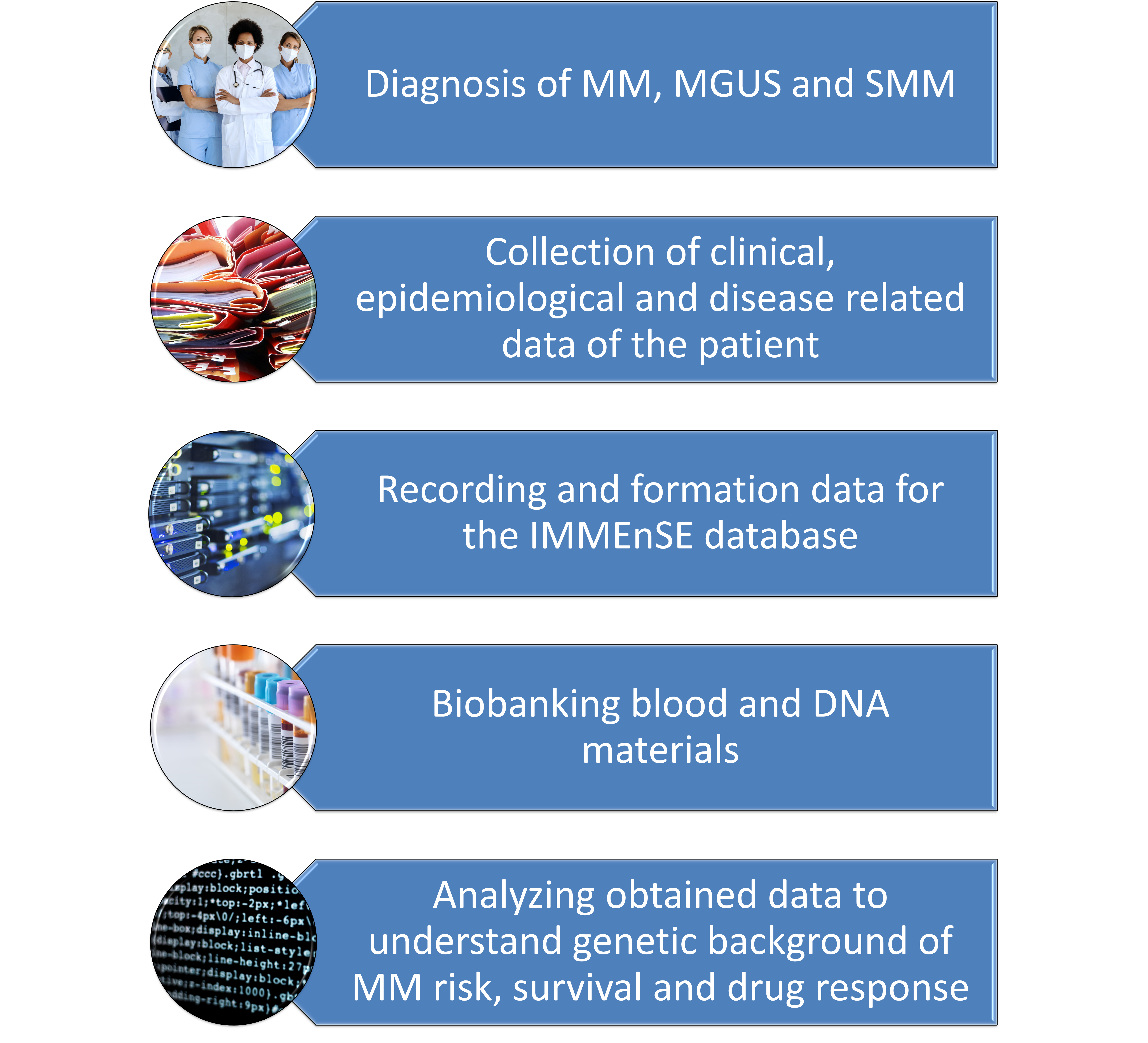 Figure 1. The IMMEnSE Consortium Workflow